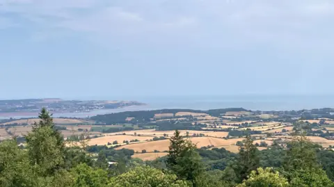 A picture of Starcross in Devon. In the foreground around green trees. There are brown fields in the middle ground and in the background is the sea. The sky is grey. 