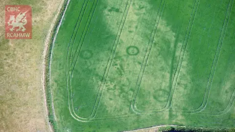 RCAHMW Crop marks of a Bronze Age barrow cemetery on the Llyn Peninsula