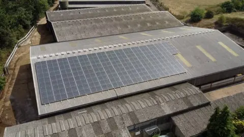 Solar panels on farm rooftops