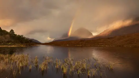 Nigel Morton Image by Nigel Morton