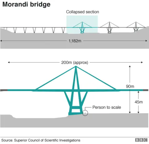 BBC graphic