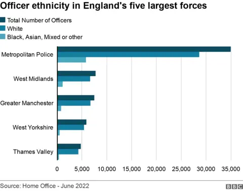 Graph detailing ethnic make-up of England's five largest forces