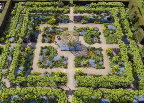 Oliver Dixon An aerial photo of a garden filled with flowers and trees in an angular design