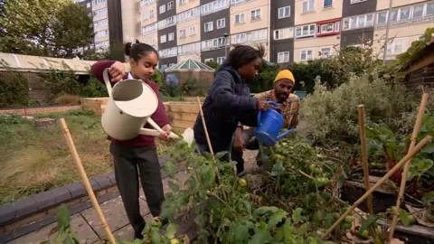 Children gardening