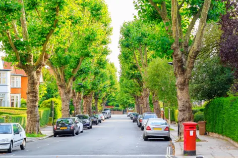 Getty Images A photo of a tree-lined street in camden north London