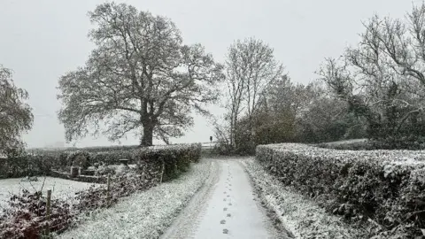 A snowy footpath with footprints walking away from the camera. There are hedges alongside the path and a few trees in the background.