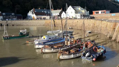 BBC A row of seven boats, of various sizes and shapes, moored loosely to a sloping stone harbour wall. The water is a green-brown and a few buildings can be seen near the harbour wall edge.