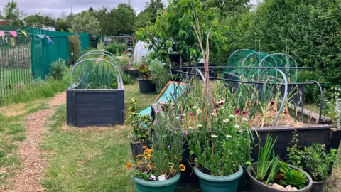 A garden area with flowers growing in pot plants, raised beds with long grasses and other plants and trees and bushes. Green railings line one side of the space, with bunting on them.