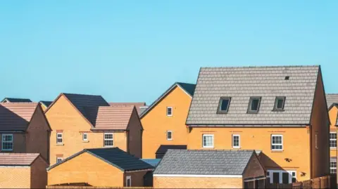 The tops of brown brick houses with white Georgian-style windows and dark rooves