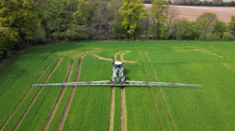 Getty Images Aerial photograph of a green tractor spreading fertiliser onto a green field. The edges of the field are lined with trees, and a brown field can be seen beyond the treeline. 