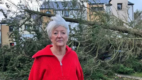 Ann Glasgow in a red jumper, stood in front of very large fallen tree