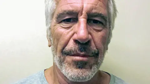 Epstein's mugshot