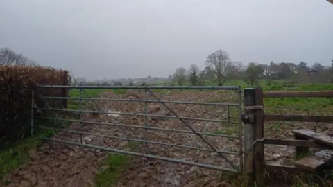 Daniel Mumby A metal gate into a muddy, grassy field with a hedgerow and trees as its boundaries and a wooden stile to the side of the gate