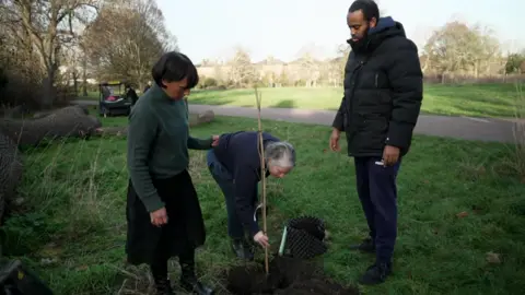 Wide shot of three people planting a sapling in a grassy park, with one person placing the sapling into the ground while the others stand nearby watching.