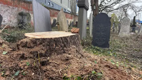 A tree stump at Nottingham's General Cemetery