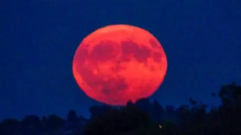 WeatherSnapz A red moon over the black horizon