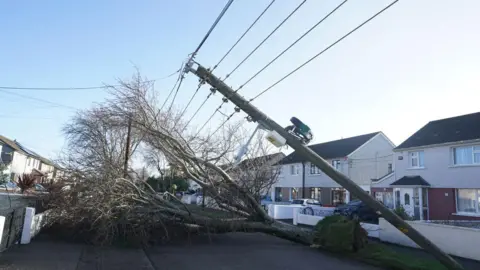 A fallen tree and electricity pole on a street in Dublin