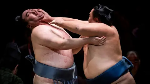 Kinbozan battles with Tamawashi during day two of The Grand Sumo Tournament at Royal Albert Hall on October 16