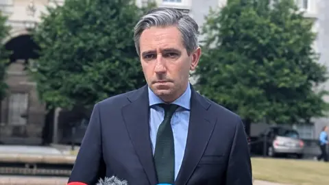 Tánaiste Simon Harris, wearing a blue shirt, dark green tie and navy suit. He has grey hair and he has a serious look on his face. Two trees and part of Dublin's Government Buildings is visible behind him. 