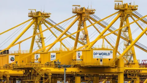 A picture of a row of large DP World cranes at Port Botany in Sydney