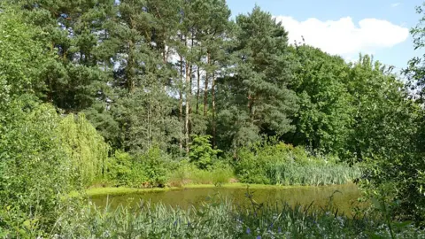 Stephen Craven/Geograph The arboretum at Jodrell Bank