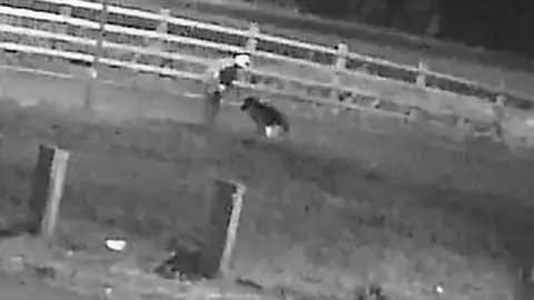 man standing over a dog on street in black and white image from CCTV