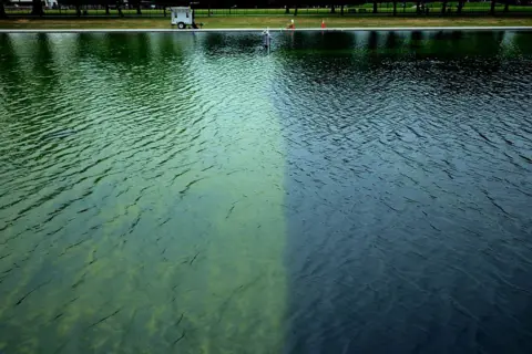 Getty Images A worker stands in the Reflecting Pool, with a sharp contrast between the areas which have been vacuumed for algae and those which haven't
