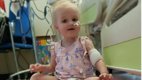 Family photo A photo of Poppy aged two