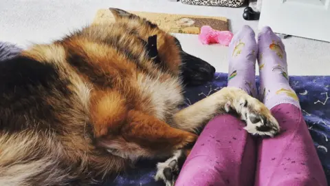 Thin Blue Paw Foundation A woman's legs wearing purple leggings and purple socks, stretched out on a blue bedspread. A German Shepherd lies next to the woman's legs, with one paw resting on her shin. There's a white carpet in the background.