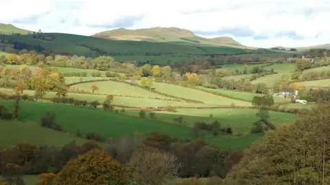 Photo: Diana Hulton Countryside near Llandrindod Wells