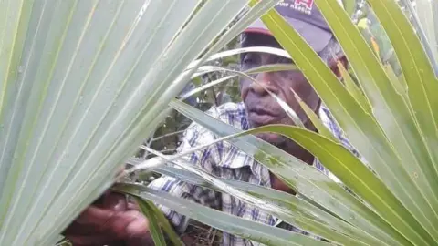 Dwit Benjamin Joseph Desouza, partly hidden by palm leaves