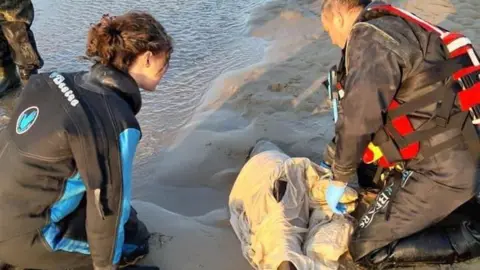 Two volunteers from British Divers Marine Life Rescue, a woman and man, crouch on a sandbank next to a small porpoise wrapped in a damp sheet