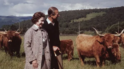 Getty Images Queen Elizabeth and Prince Philip in a field with some Highland cattle at Balmoral in 1972