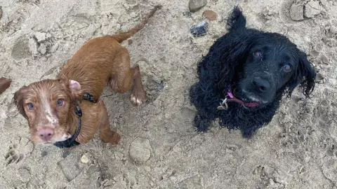 Cath Baggins Roo and Penny