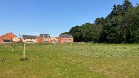 Owen Sennitt/BBC A grass field can be seen in front of a row of houses next to a woodland on a sunny day