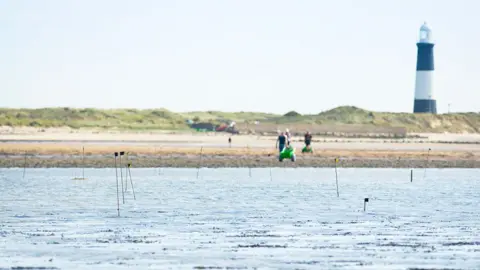 Wilder Humber / Finn Varney View from the water of Spurn Point - a thin peninsula 