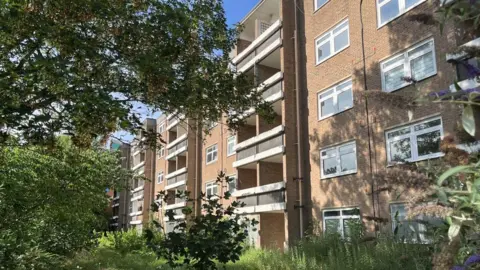 Image of a six-storey brick block of council apartments, some of which have balconies.