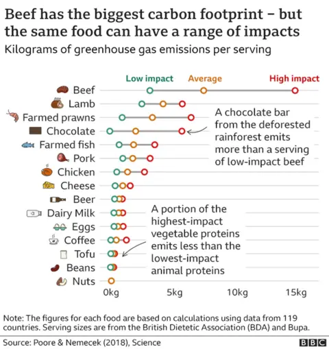 Diagram showing the impact of different foods