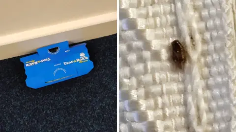 RICHARD SPENCER Two images. Left shows a blue cockroach trap sat on a blue carpet next to a cream wall. Right shows a bug crawling on a white mattress.