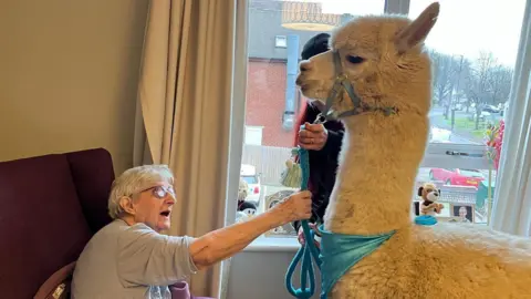 Handout A resident sits in a chair and reaches up to Prancer. He has his hand on the lead.