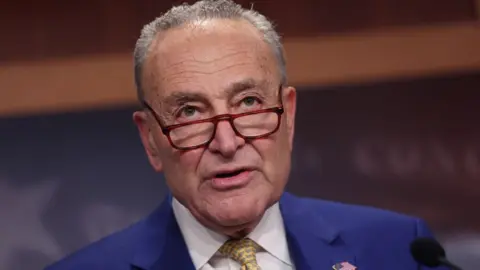 Getty Images Chuck Schumer
