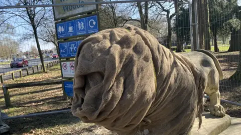 Lara King A stone statue of a lion, with its front half covered in fabric, stands in a green space.