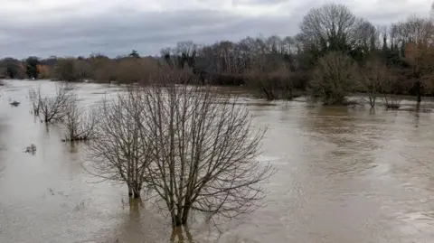 River Wye flooding and high river levels in Hereford in February 2022. Water has risen and flooded fields and is halfway up the trees.