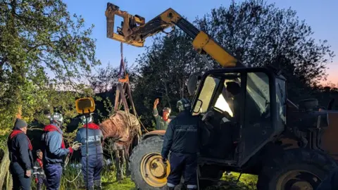 Five people are standing around a large yellow and black JCB which has its digger arm in the air. Attached to the arm is a large harness which is lifting a brown horse into the air our of a river