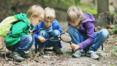 Three children outside in a wood exploring