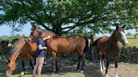 A woman with long brown hair is wearing a blue t-shirt and black shorts. She is standing next to three brown horses sheltering under the shade of a tree. 