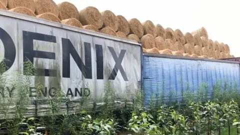 Straw bales near gardens