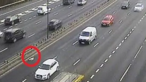 Highways England Swan on M6