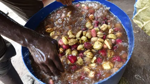 AFP A man washes cola nuts on 25 September 2017, in Anyama. Ivory coast is the first exporting country for cola, and second producer after Nigeria