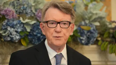 PA Media Lord Mandelson